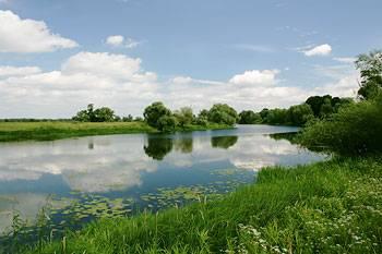 Cedyński Park Krajobrazowy - brzeg Odry