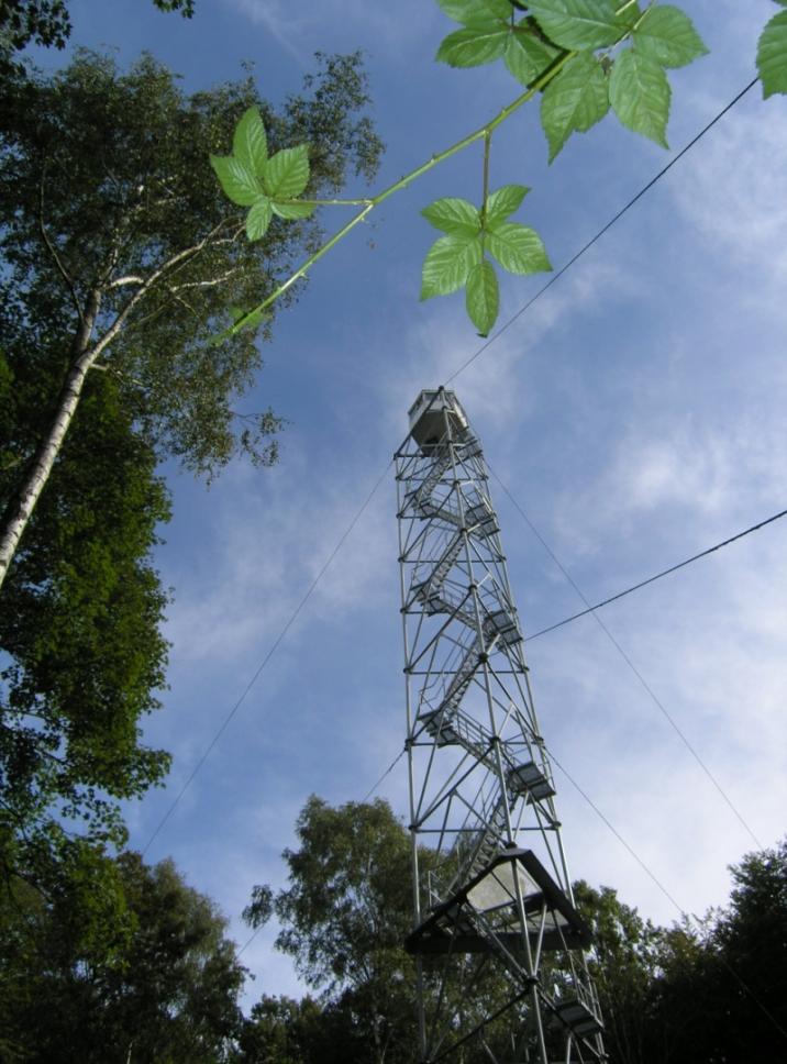 Na zdjęciu widok na dostrzegalnię pożarową w Brwicach