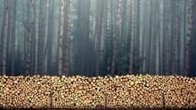 Cennik detaliczny na drewno obowiązujący w II półroczu 2023 roku