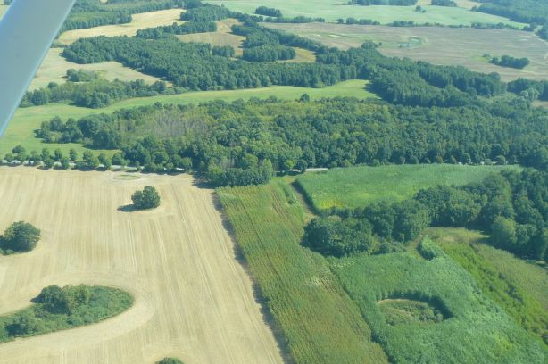 Lasy Nadleśnictwa Mieszkowice z lotu ptaka