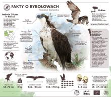 Ochrona Rybołowa na wybranych obszarach