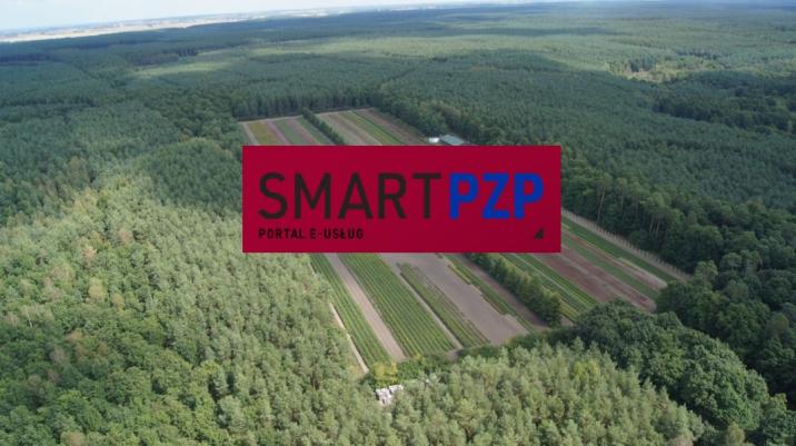 Napis Smart PZP Portal e-usług na czerwonym prostokącie, na tle widoku lasu z lotu ptaka