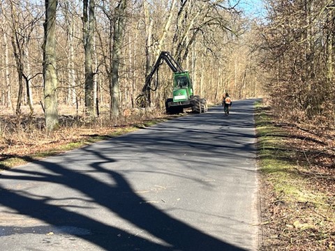Utrudnienia w ruchu na drogach leżących na terenie Nadleśnictwa Mieszkowice