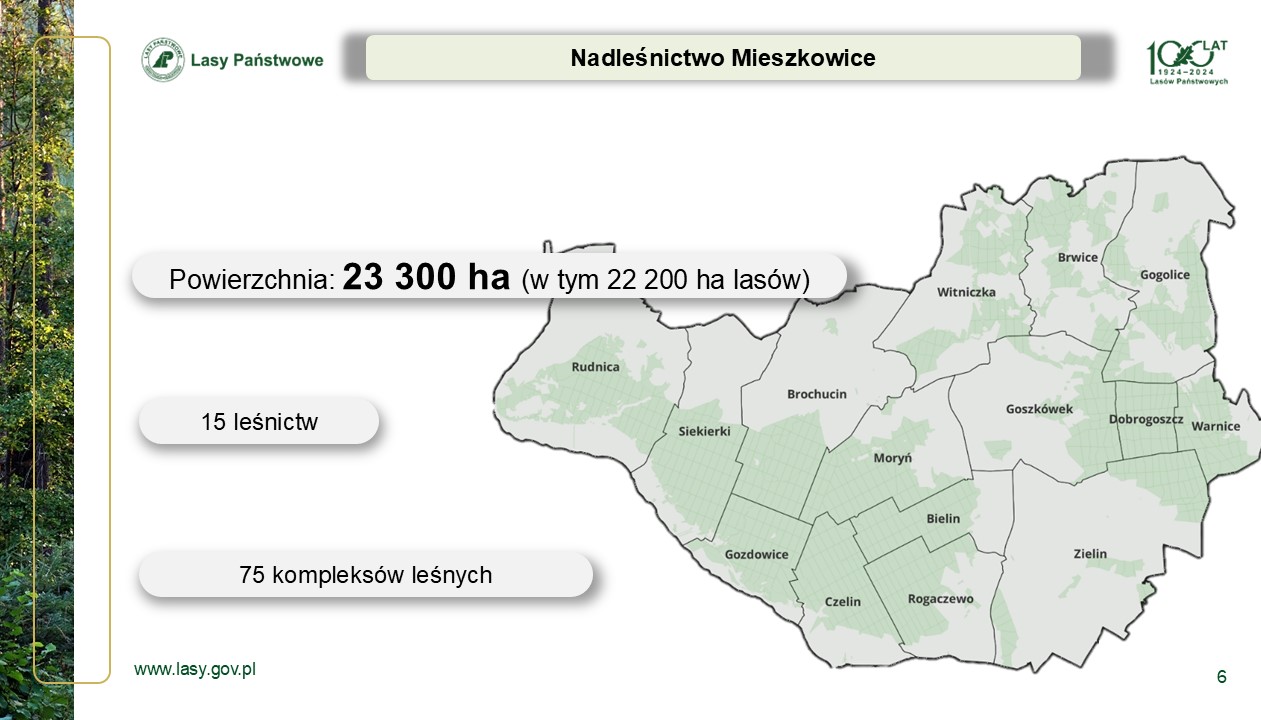 Podsumowanie działalności w 2024 roku