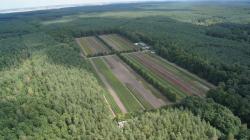 Szkółka Leśna w Starych Łysogórkach z lotu ptaka