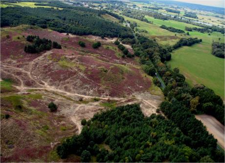 Nadleśnictwo Mieszkowice